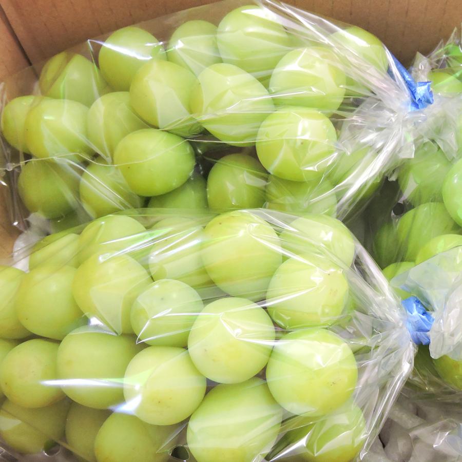 シャインマスカット 約2kg 甘い おいしい ぶどう ブドウ 葡萄 山梨県産