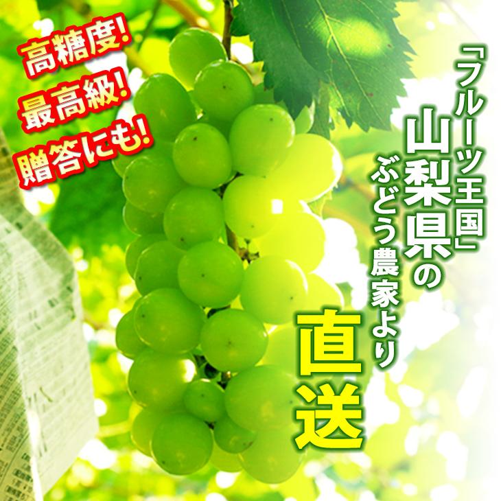 値下げ⚪︎山梨県産シャインマスカット家庭用3キロ シャインマスカット 約3kg おいしい ぶどう ブドウ 葡萄 高級 山梨県産