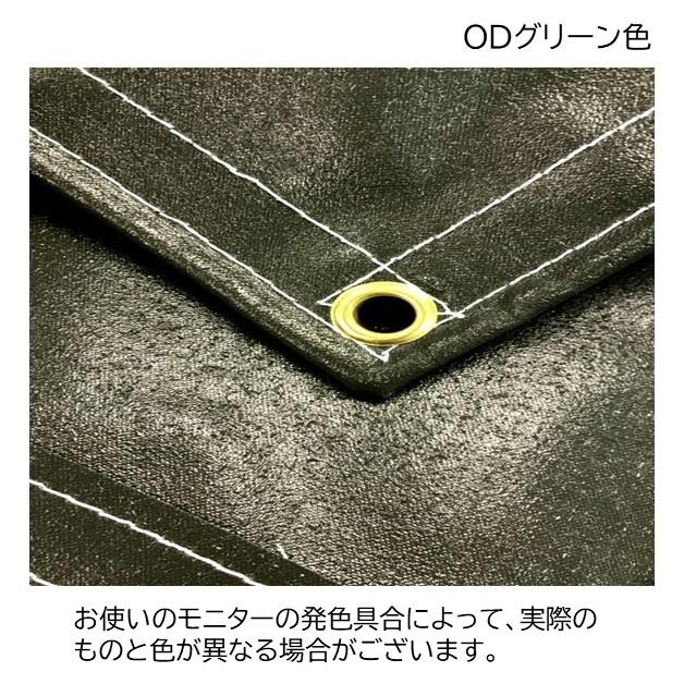 新品 国産エステル帆布 スーパーキャリイ 荷台シート スロープ型 軽トラック Amazon.co.jp: トラックシート スーパーキャリイ用シート 伸縮式