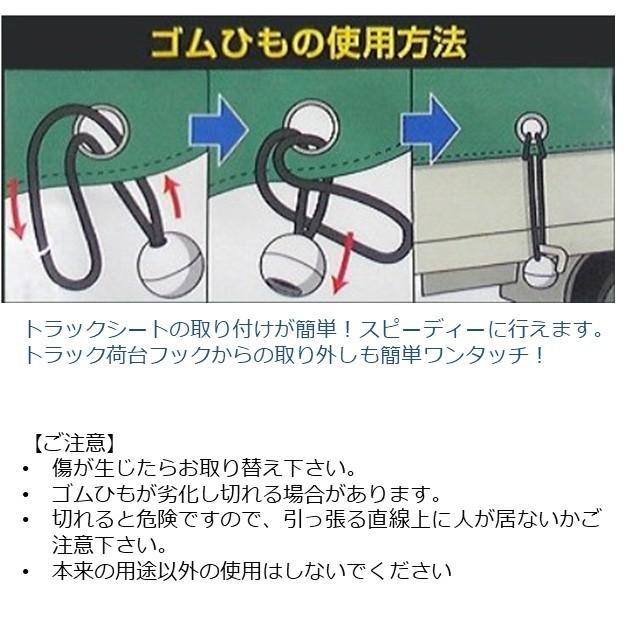 カイトン トラック用 玉つきゴムひも トラックゴム シート止め 10本