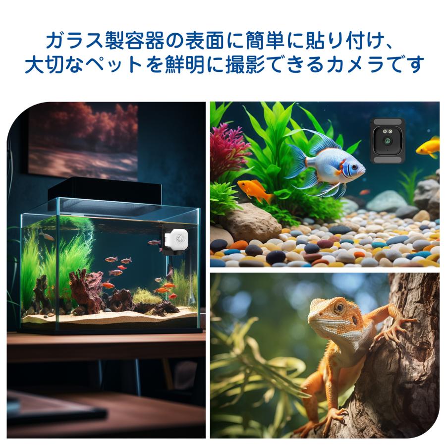 Dosikc 眩光対策窓カメラ 2K防犯カメラ 真っ黒でもカラー工事不要 遠隔