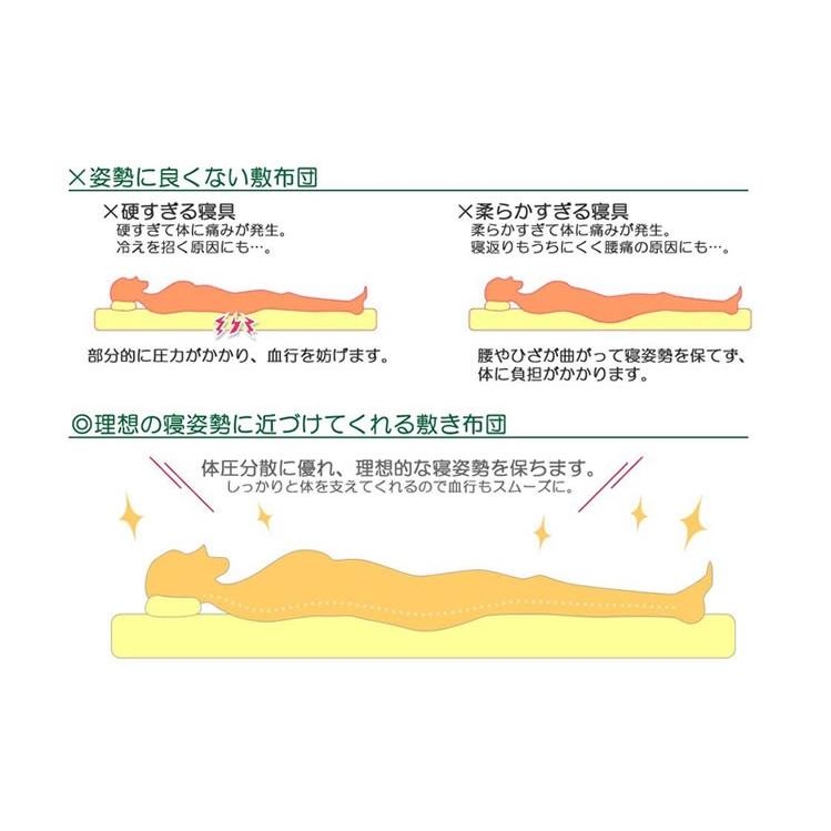 オーダーメイド エアロ（高反発 三次元スプリング構造体） ファスナー付き 三層 敷布団 140×250cm 以下 日本製 別注 サイズ変更可 オーダー布団 高反発｜shinko-shingu｜05