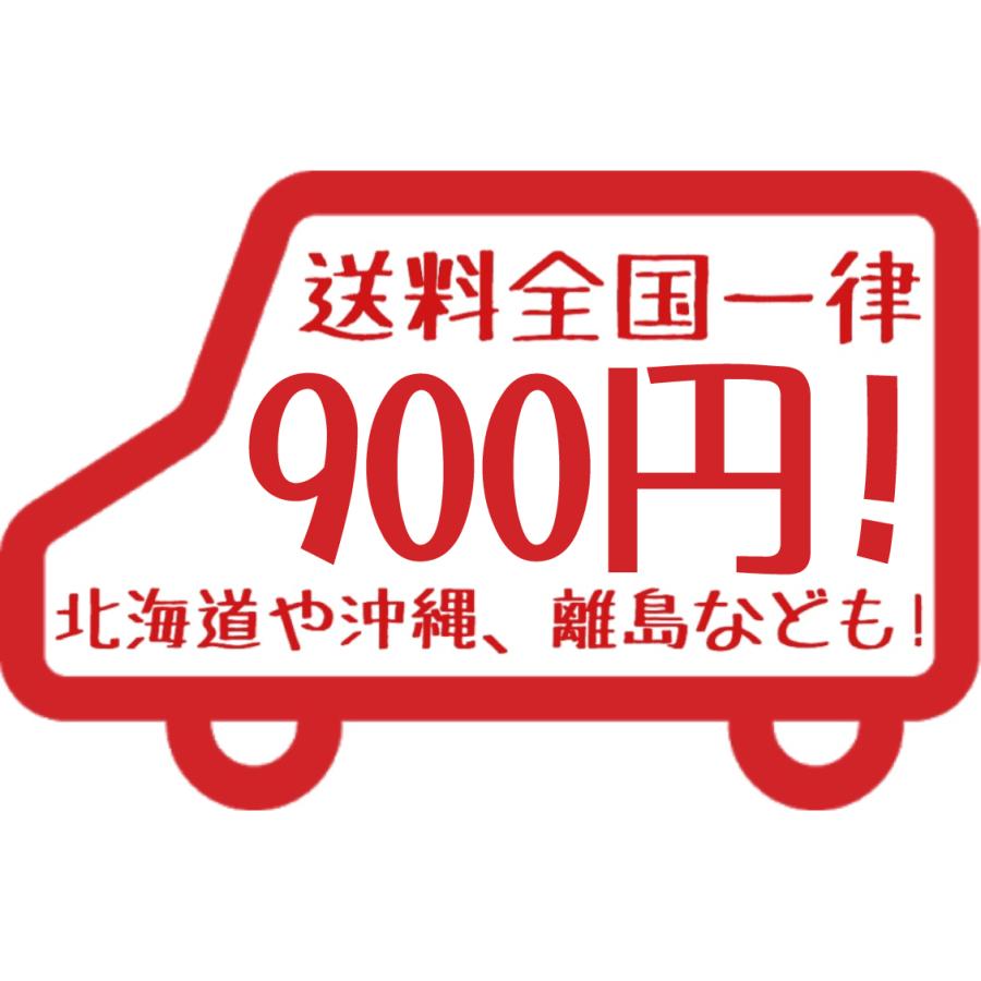 モンキーギャング ガラスクリーナー 500ml MONKEY GANG スパシャン 洗車 1品｜shinkogumi-co-ltd｜04