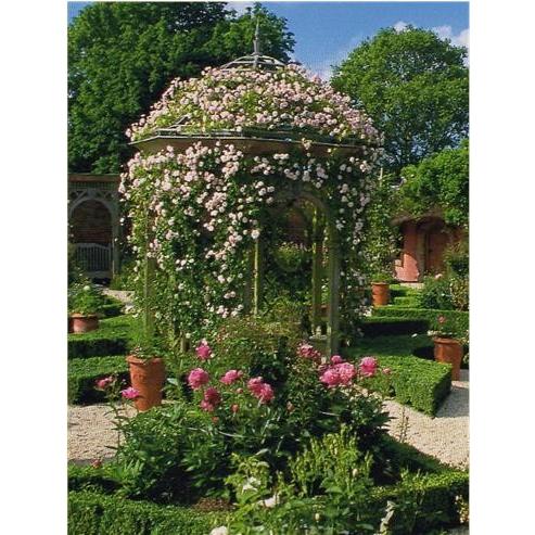 Dtr Mo 08 06 ドームメーカー直送代引き 同梱包不可バラアーチ ばらアーチ 薔薇アーチ 全地域別途送料 404 Mo 08 06 新未来創造 通販 Yahoo ショッピング