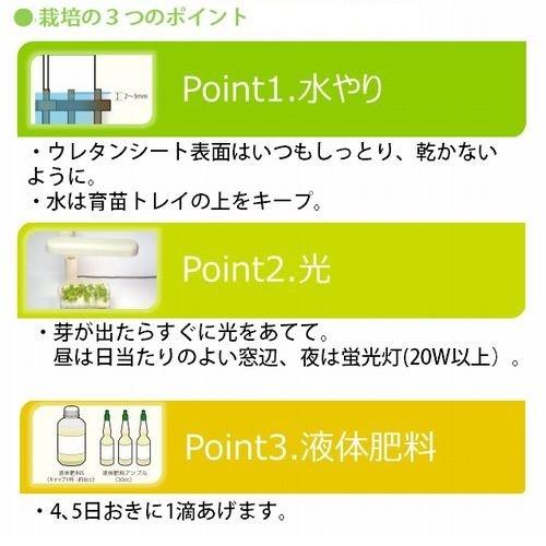 リビングファーム　LFS-330　ミニ水耕菜園キットBE ベビーエンダイブ【メーカー直送】【代引き/同梱包不可】【栽培キット/水耕栽培/栽培セット】｜shinmiraisouzou｜04