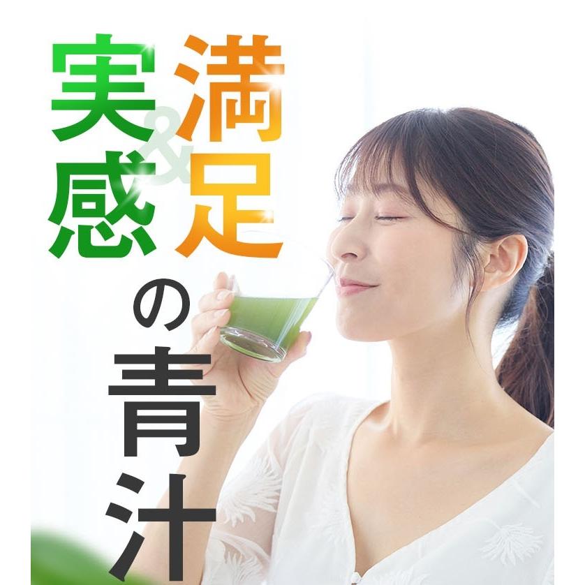 新日本製薬 青汁 乳酸菌 機能性表示食品 ビフィズス菌 新日本製薬公式
