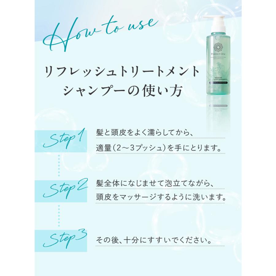 PERFECT ONE（パーフェクトワン） 2本セット リフレッシュ