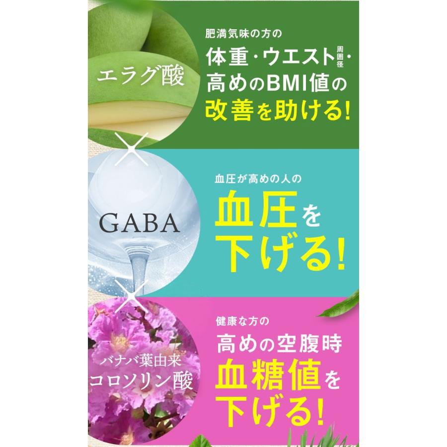 新日本製薬 青汁 乳酸菌 機能性表示食品 ビフィズス菌 新日本製薬公式