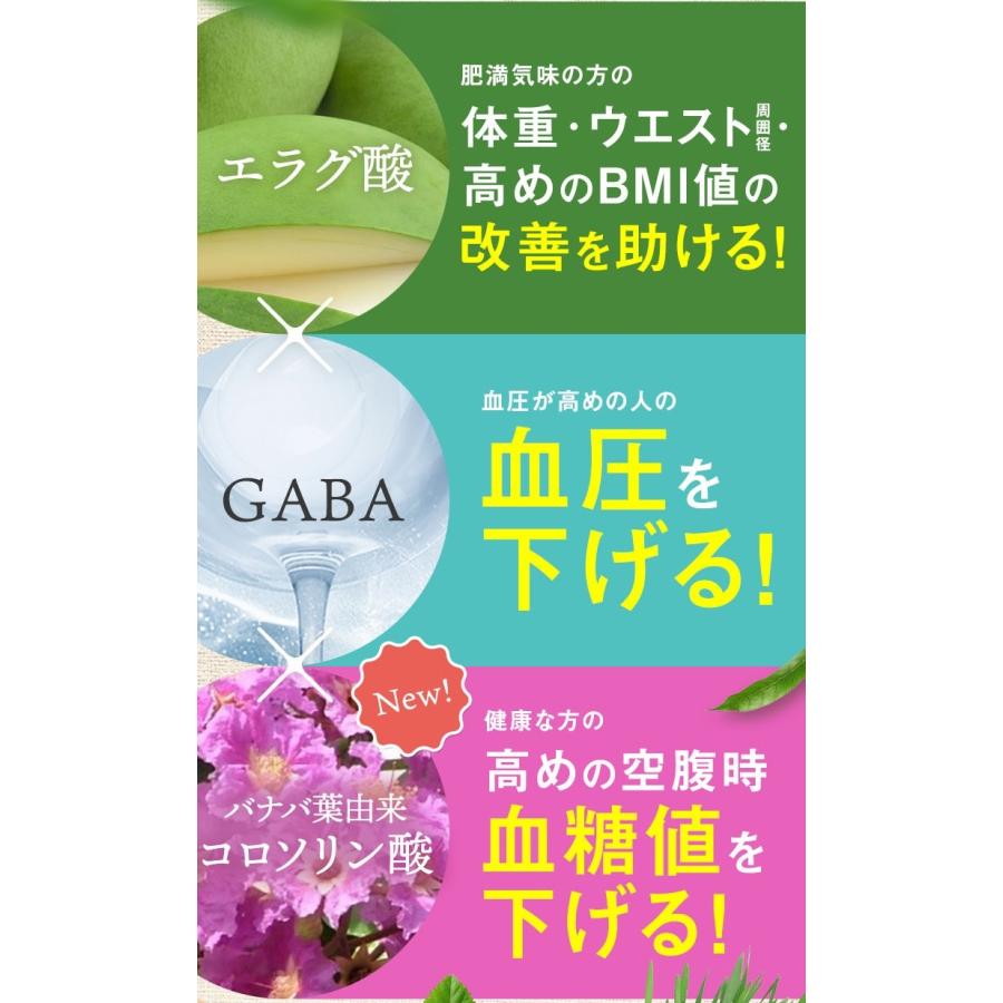 新日本製薬 リニューアル 【新日本製薬公式】Wの健康青汁プラス (2箱
