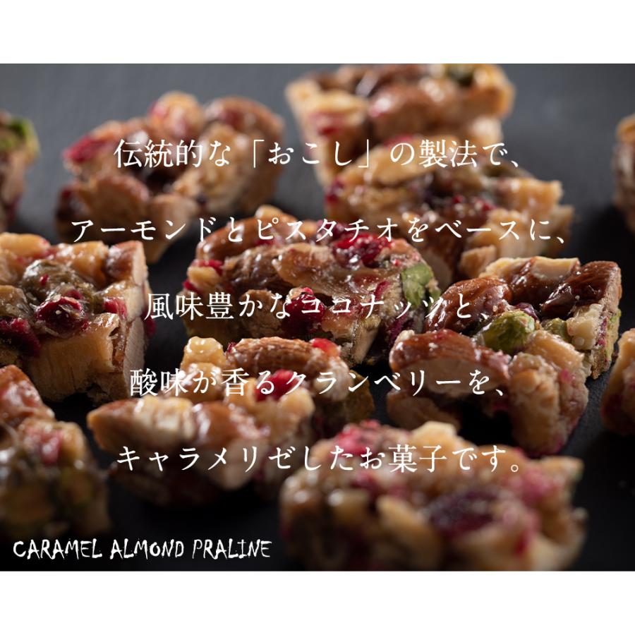 まとめ買い メール便 キャラメルアーモンドプラリネ 12個 1000円ぽっきり ナッツ ドライフルーツ キャラメリゼ 篠原製菓 Aynaelda Com