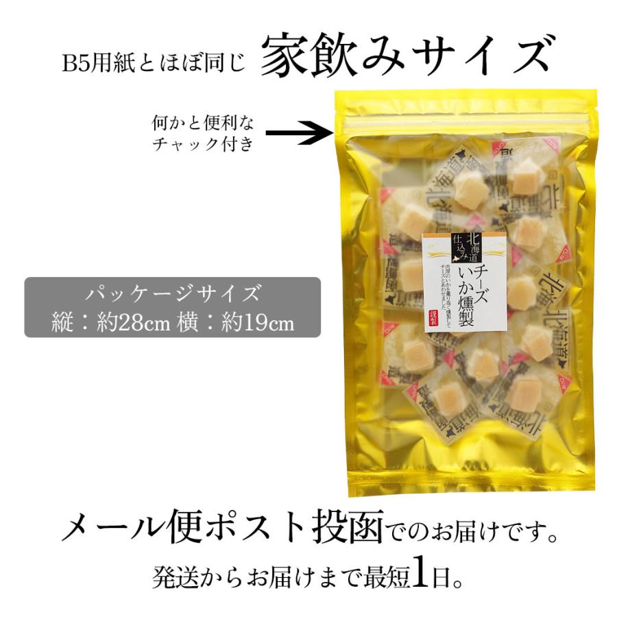 チーズ おつまみ いか 燻製 チーズいか燻製 60g チーズ烏賊 いかくん