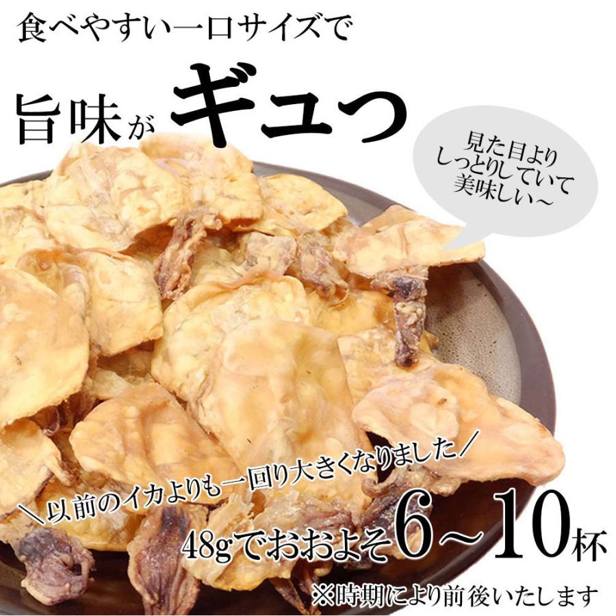焼剣先いか 48g 剣先イカ 烏賊 イカの旨みが濃厚な しっとりやわらか イカ おつまみ 珍味 一口サイズ 2 おつまみショップ珍味工房ヤフー店 通販 Yahoo ショッピング