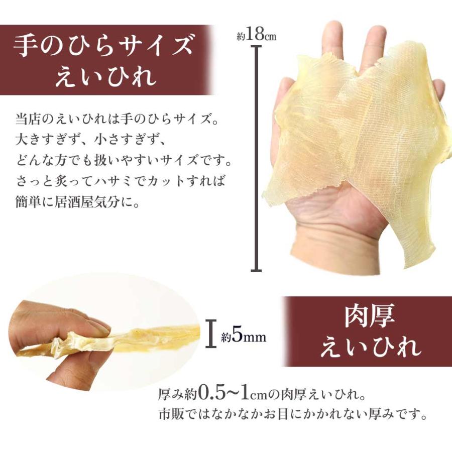 エイヒレ 肉厚 業務用 1kg えいひれ 干し 送料無料 大容量 居酒屋