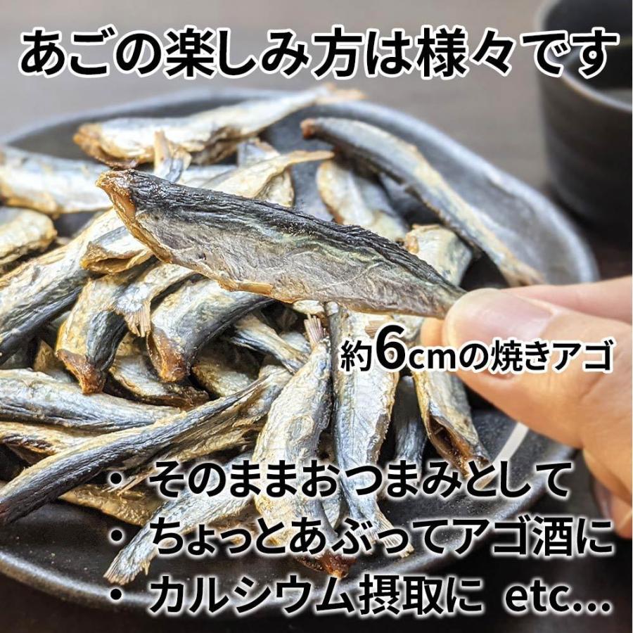 焼きあご あご こんがり アゴ 215g 酒のつまみに 家のみ 珍味 トビウオ メール便限定 送料無料 濃厚な旨味 魚 おつまみ 硬い とびうお 人気メーカー ブランド