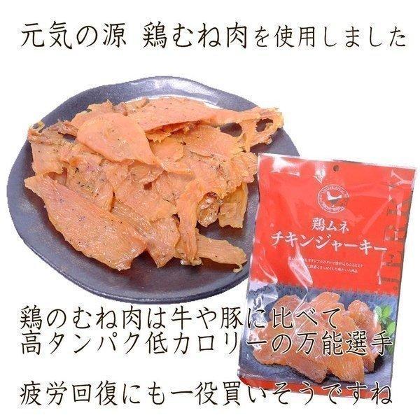 鶏むね肉 チキンジャーキー 大容量 2パックセット 送料無料 高タンパク