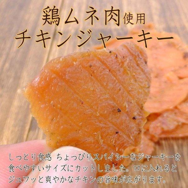 鶏むね肉 チキンジャーキー 大容量 2パックセット 送料無料 高タンパク