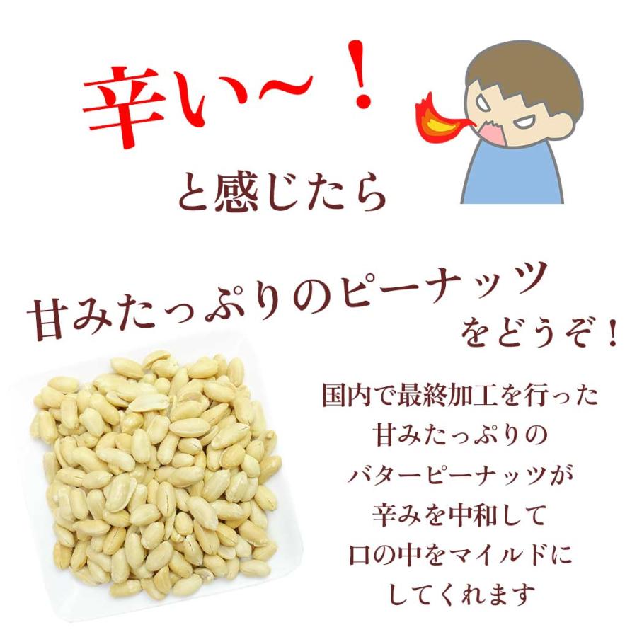 大辛口 柿の種 ピーナッツ入り 辛口 新潟米使用 柿ピー 大粒 国内製造