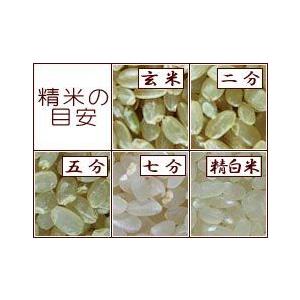 コシヒカリ 平成26年 新米 茨城県稲敷市産 『コシヒカリ』 5kg