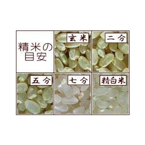 つや姫 令和7年 山形県産 特別栽培 『つや姫』 3kg : しのざき米店
