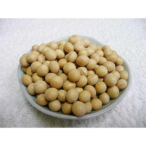 令和7年産 手作り味噌材料 北海道産普通栽培大豆とよまさり 1kg