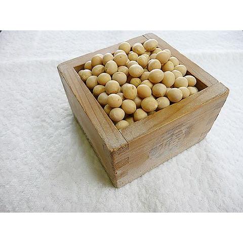 令和6年産 手作り味噌材料 北海道産 減農薬 特別栽培大豆とよまさり