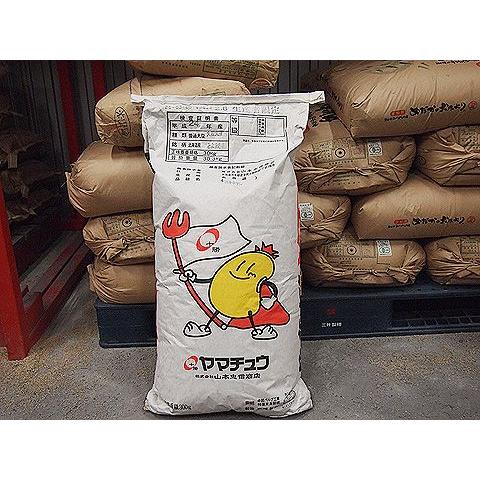 令和6年産 手作り味噌材料 北海道産 減農薬 特別栽培大豆とよまさり