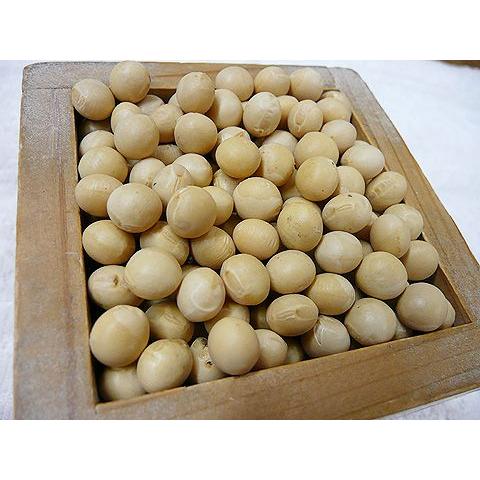 令和７年産　北海道産　無農薬　無化学肥料　ＪＡＳ有機栽培大豆とよまさり　３０ｋｇ