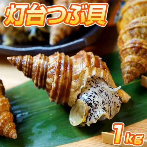 つぶ貝さん専用 Amazon.co.jp: ますよね 特大 つぶ貝 1kg (500g×2袋) ツブ貝