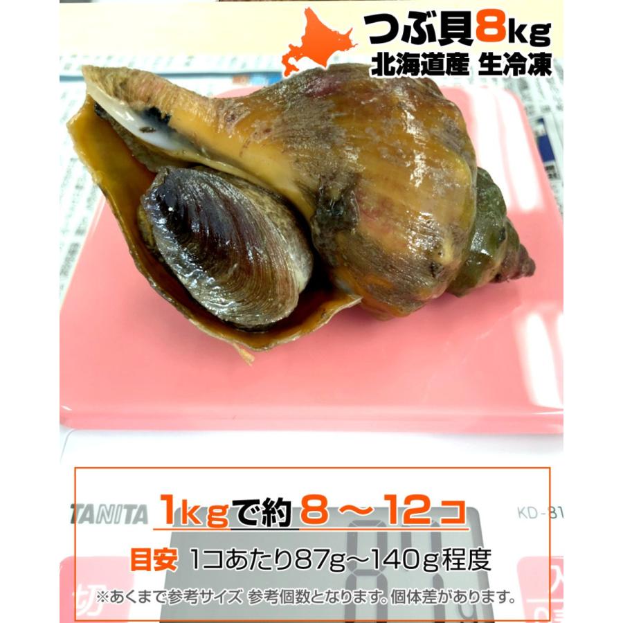 業務用 青つぶ 8kg 35 40枚 青ツブ つぶ貝 ツブ貝 つぶ ツブ 飲食店仕入れ 貝 北海道の貝 シェア 贈り物 貝焼き ゴールデンウィーク こどもの日 母の日 Uosu O Aotubu0001 ウオス進風水産直営店 通販 Yahoo ショッピング