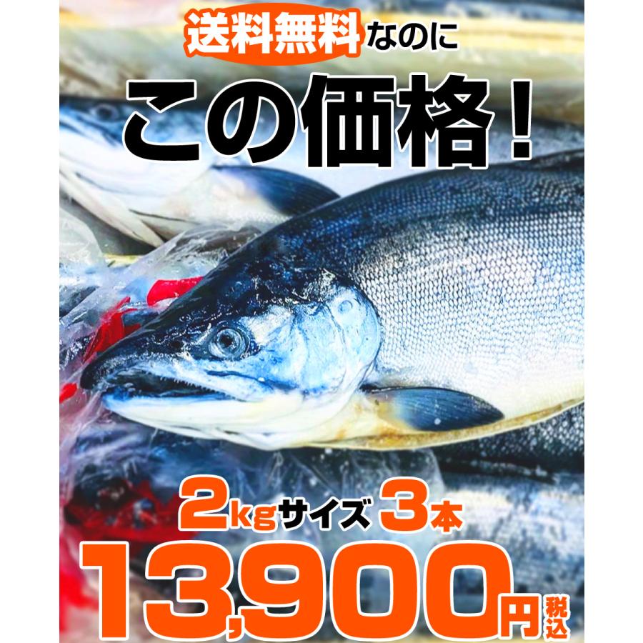 新巻鮭 北海道産 2kg 3尾セット 送料0円 塩漬け 塩鮭 塩引き鮭 鮭 新巻 秋鮭 しゃけ サケ さけ 産地直送 辛い鮭 しょっぱい鮭 お歳暮 正月 Uosu O Aramaki0003 ウオス進風水産直営店 通販 Yahoo ショッピング