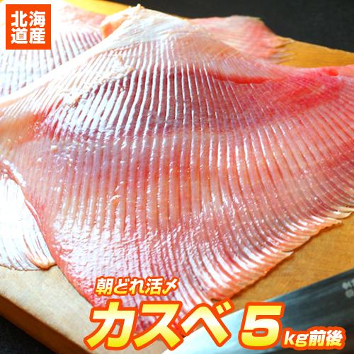 北海道産 カスベ 5kg箱 6〜8枚前後 活〆 下処理済 かすべ エイヒレ