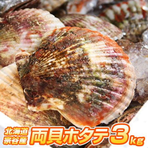 北海道産 ホタテ 3kg | 宗谷地方 12〜18枚前後 冷凍 帆立 殻付きホタテ
