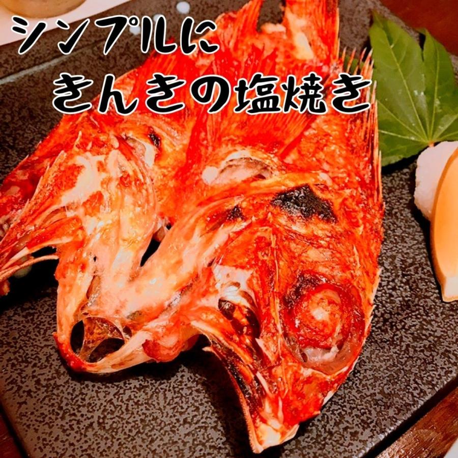 まとめ買い 生冷 きんき 丸もの 10kg12 16尾 生冷きんき キンキ 冷凍きんき 冷凍キンキ 深海魚 高級魚 居酒屋仕入れ 吉次 きちじ 年末年始 お正月 お歳暮 Uosu O Kinkimarumono0004 ウオス進風水産直営店 通販 Yahoo ショッピング