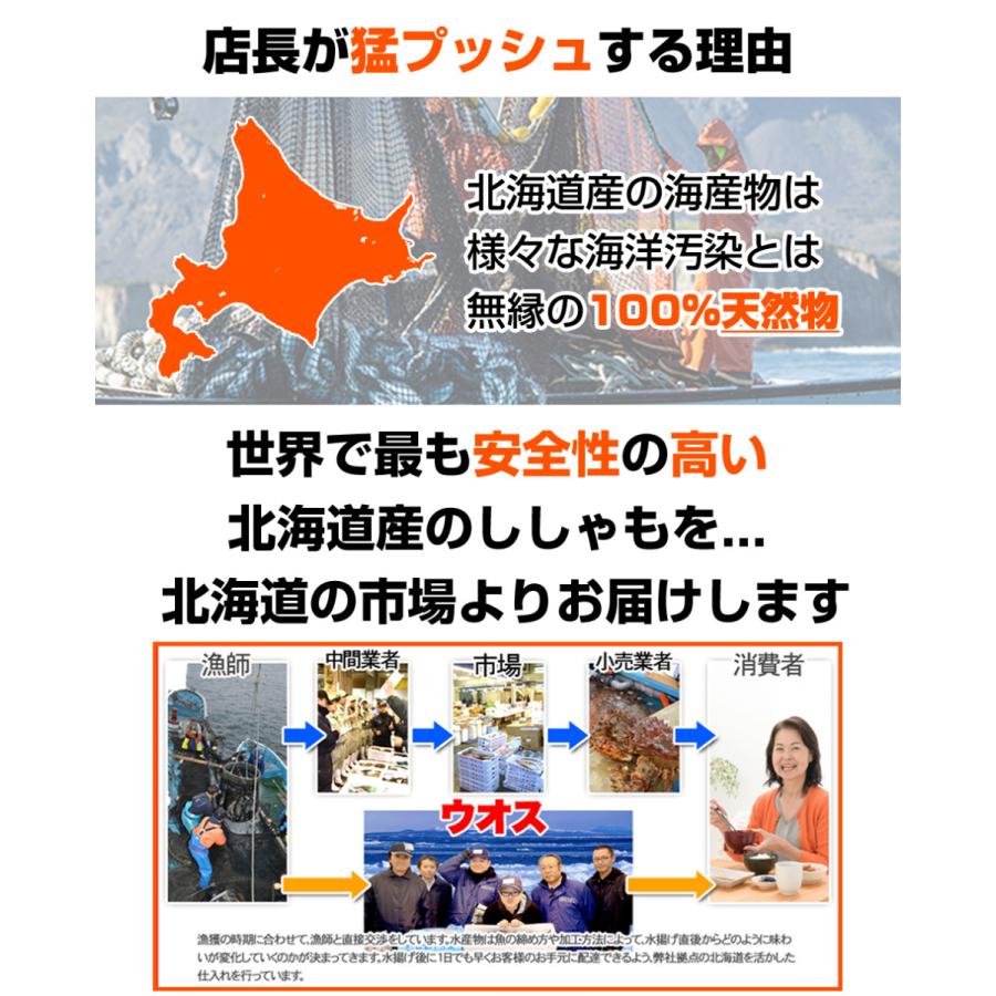 北海道産 本ししゃも メス30尾 4個まで同梱可 本物ししゃも ししゃも シシャモ 柳葉魚 道産ししゃも 干物 魚 父の日 結婚記念 結婚祝い ジューンブライド Uosu O Mukawasisyamomesu001 ウオス進風水産直営店 通販 Yahoo ショッピング