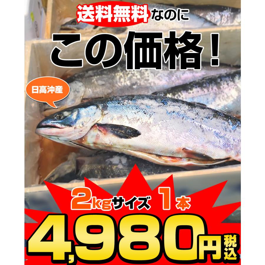 新巻鮭 2kg 1尾 北海道 日高沖産 塩鮭 姿 鮭 北海道産 えりも岬 一本もの シャケ しゃけ サケ さけ 国産 贈答 ちゃんちゃん焼き 中元 お中元 暑中見舞い Uosu Y Benisake ウオス進風水産直営店 通販 Yahoo ショッピング