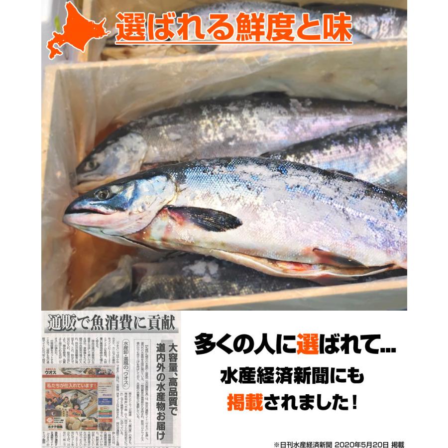 計8kg 新巻鮭 2kg×4尾 送料0円 塩鮭 鮭 中辛 北海道産 塩引き鮭