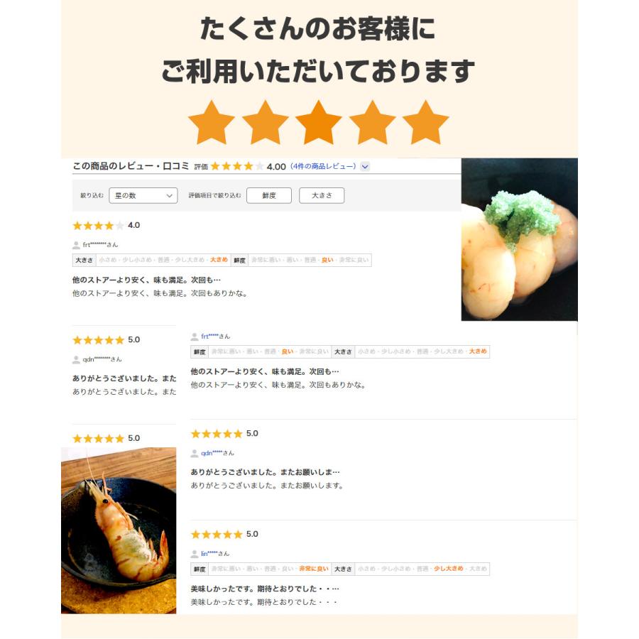 子持ち ボタンエビ 500ｇ 9尾前後 ぼたんえび 北海道 海老 ぼたん海老 えび エビ 刺身 造り 生冷凍 父の日 結婚記念 結婚祝い ジューンブライド お中元 中元 Uosu Y Botan ウオス進風水産直営店 通販 Yahoo ショッピング