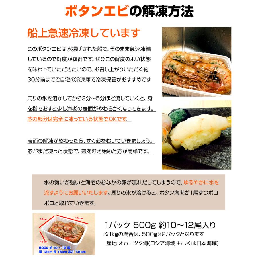 最大50 オフ 子持ち ボタンエビ 500ｇ 12尾前後 ぼたんえび 北海道 海老 ぼたん海老 えび エビ 刺身 造り 生冷凍 グランピング キャンプ 中元 お中元 お盆 Aynaelda Com