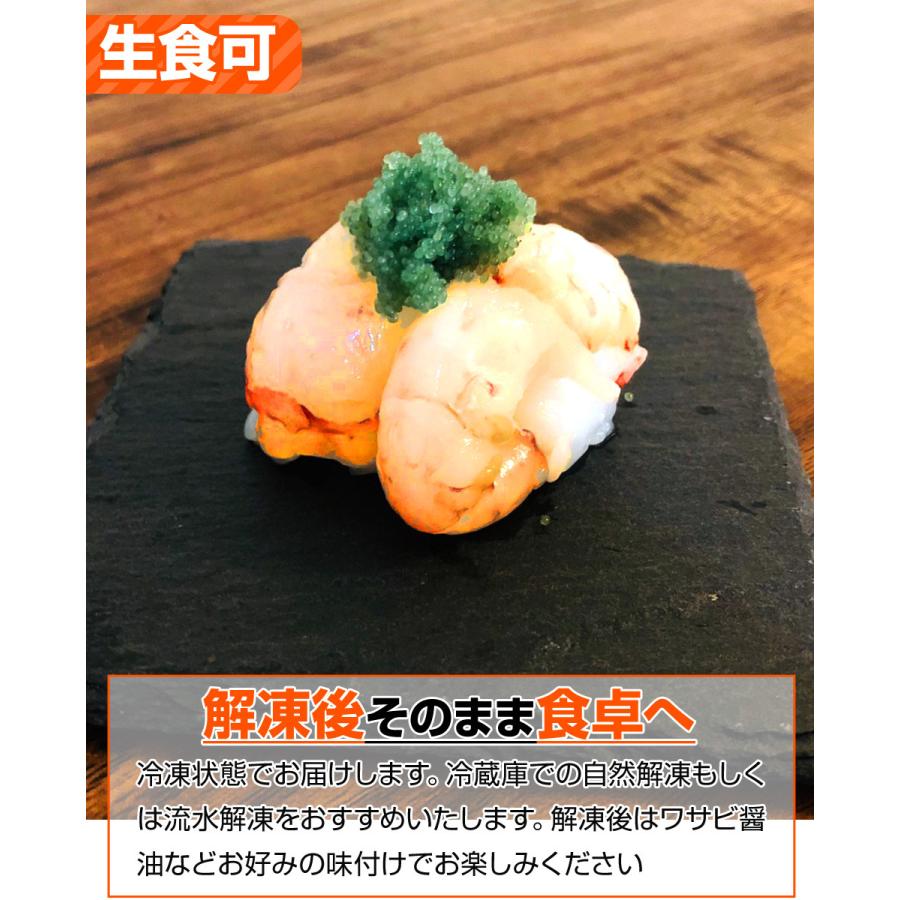 子持ち ボタンエビ 1kg 18尾前後 Bfl 北海道 海老 ぼたんえび エビ 北海道のエビ 大きいエビ えび 正月 年末 お歳暮 お正月 暮れ クリスマス Xmas 贈答 Uosu Y Botan ウオス進風水産直営店 通販 Yahoo ショッピング