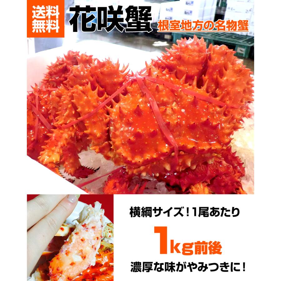 花咲ガニ 1尾 1kg前後サイズ 花咲蟹 ハナサキガニ 花咲がに カニ かに 蟹 姿 濃厚 ボイル 特大 父の日 結婚記念 結婚祝い ジューンブライド お中元 中元 Uosu Y Hanasaki0002 ウオス進風水産直営店 通販 Yahoo ショッピング