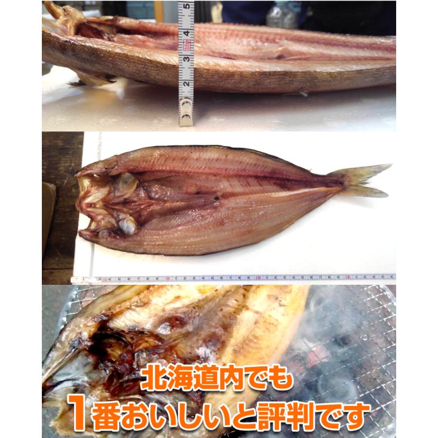 まとめ買い 真ホッケ開き 枚 ホッケ開き ほっけ開き ホッケ ほっけ 水産卸元直送 北海道 北海道産 干物 開き魚 年末年始 お正月 お歳暮 大晦日 暮れ Uosu Y Hokke Gy1 ウオス進風水産直営店 通販 Yahoo ショッピング