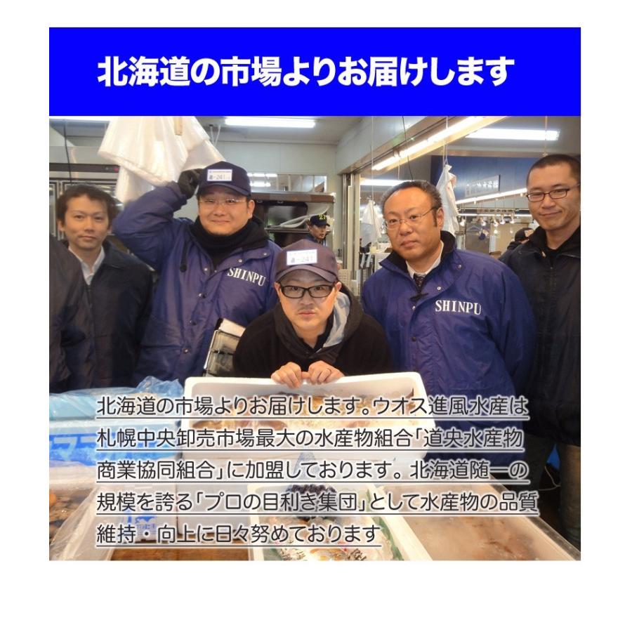 真ホッケ開き 1枚 北海道 ほっけ ホッケ 10枚まで同梱可 真ほっけ ホッケ開き ほっけ開き 干物 北海道の魚 年末年始 お正月 正月 お歳暮 歳暮 人気 Xmas Uosu Y Hokke00003 ウオス進風水産直営店 通販 Yahoo ショッピング