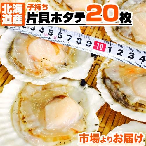 貝付き 片貝ホタテ 枚 北海道 北海道産 ほたて 帆立 貝ホタテ 片貝 片貝帆立 片貝ほたて ホタテ貝 ほたて貝 帆立貝 節分 節句 彼岸 お彼岸 行楽 キャンプ Uosu Y Hotate ウオス進風水産直営店 通販 Yahoo ショッピング