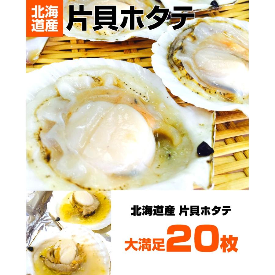 片貝ホタテ 20枚 9〜10cmサイズ 北海道産 | ほたて 帆立 片貝 片貝帆立
