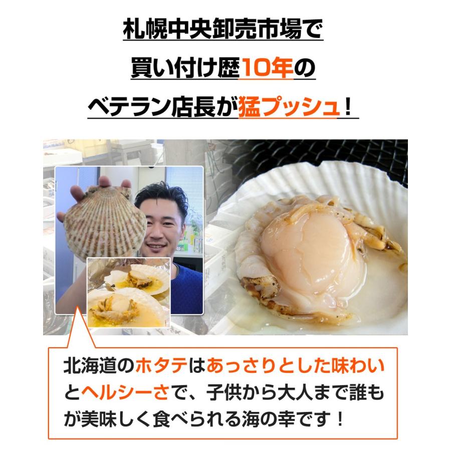 片貝ホタテ 20枚 9〜10cmサイズ 北海道産 | ほたて 帆立 片貝 片貝帆立