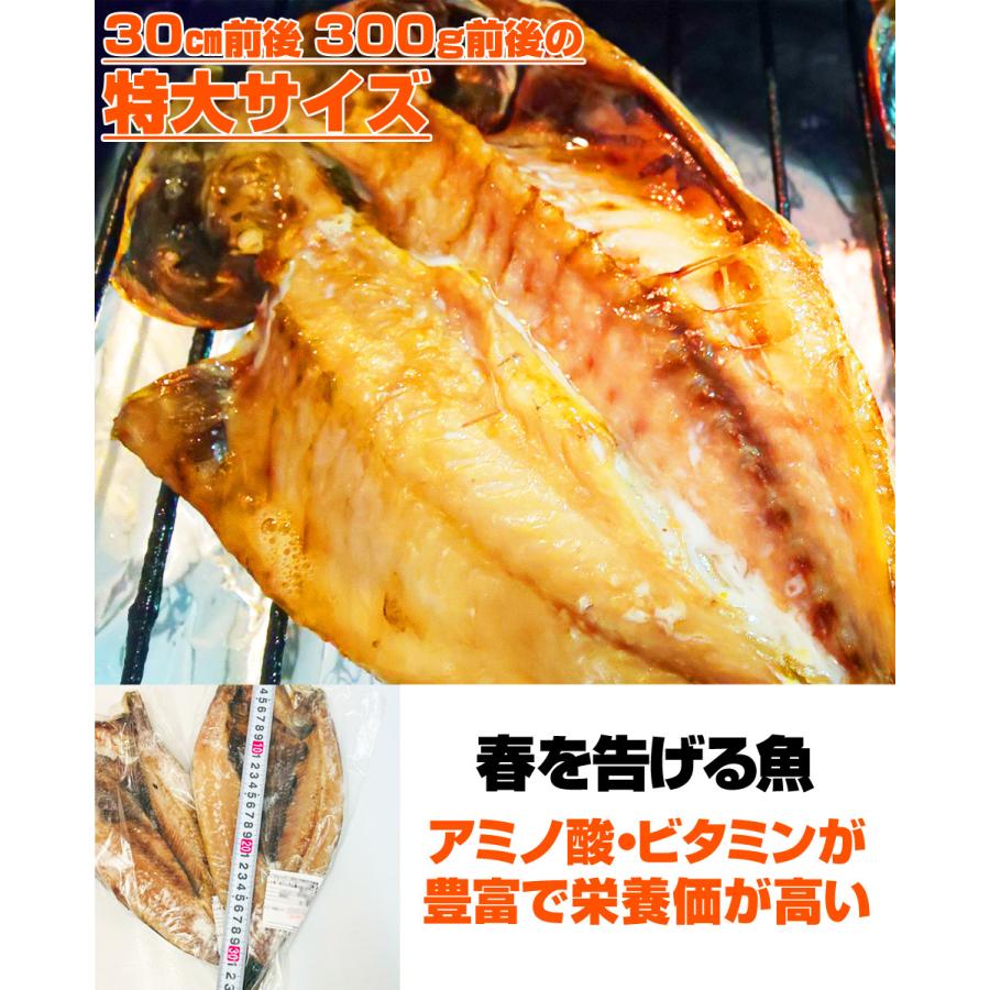 ニシン開き 1枚 送料0円 1枚300ｇ前後サイズ 鰊開き にしん 開き魚 にしん開き 鰊開き 干物 ニシン 年末年始 お正月 大晦日 Uosu Y Nishin0001 ウオス進風水産直営店 通販 Yahoo ショッピング