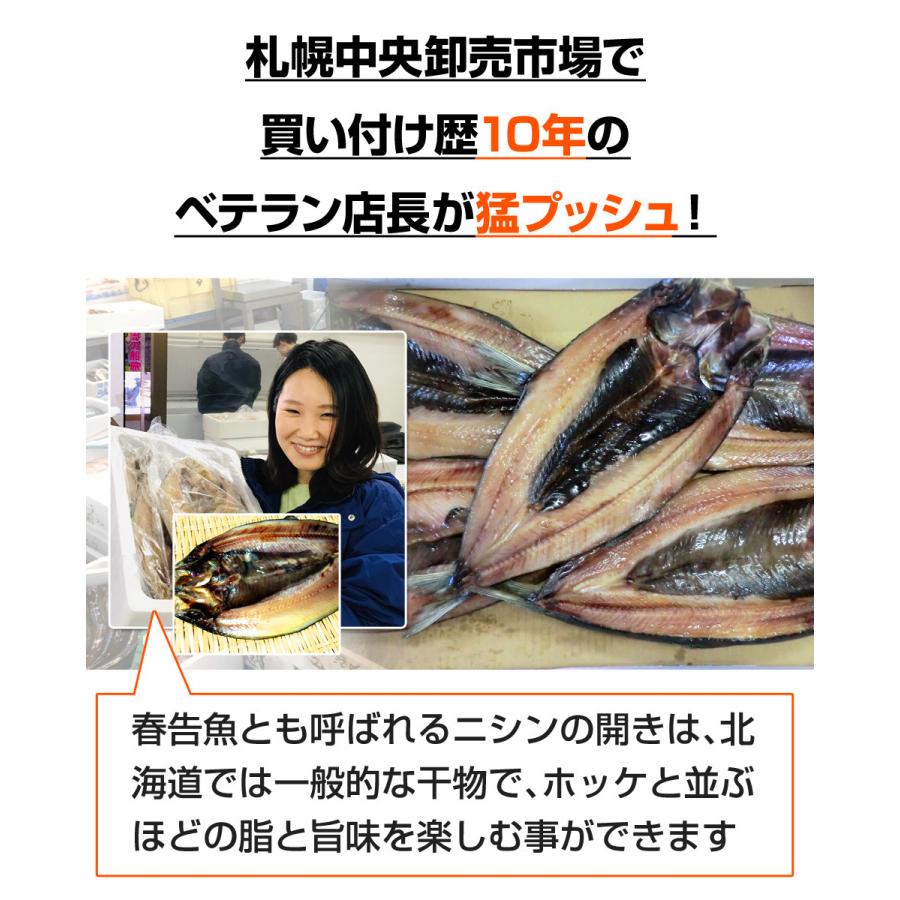 にしん開き 5尾 1尾300ｇ前後 鰊開き 北海道直送 にしん 開き魚 ギフト 鰊開き 北海道干物 干物 ニシン 年末年始 お正月 正月 クリスマス お歳暮 歳暮 人気 Uosu Y Nishin0005 ウオス進風水産直営店 通販 Yahoo ショッピング