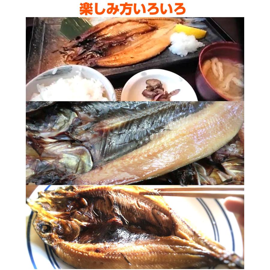 ニシン開き 10尾 1尾300ｇ前後サイズ 鰊開き 北海道直送 にしん 開き魚 にしん開き 鰊開き 干物 ニシン 節分 節句 彼岸 お彼岸 ギフト グルメギフト 熨斗 Uosu Y Nishin0010 ウオス進風水産直営店 通販 Yahoo ショッピング