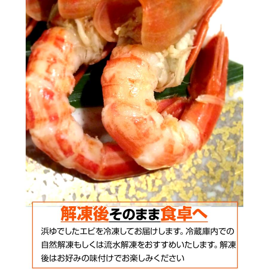 北海シマエビ 500g 尾 25尾前後 年末予約可 シマエビ 縞エビ 北海縞エビ しまえび 海老 えび エビ 浜茹で 浜茹 お正月 お歳暮 Uosu Y Simaebi0001 ウオス進風水産直営店 通販 Yahoo ショッピング