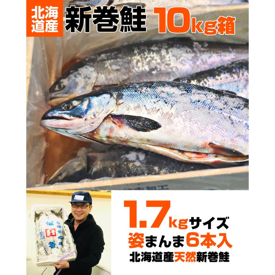業務用 塩漬け 新巻鮭 北海道産 10kg 5尾 塩鮭 塩引き鮭 鮭 秋鮭 しゃけ サケ さけ 産地直送 1本 水産仕入れ シェア プレゼント ゴールデンウィーク Uosu Y Syake1 ウオス進風水産直営店 通販 Yahoo ショッピング